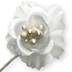 Bild von Satin-Blüte mit Bötzl - weiß