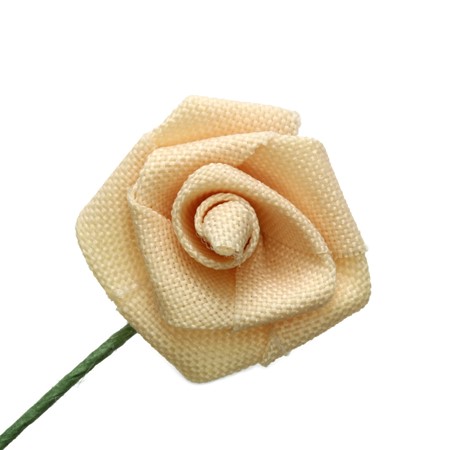 Bild von Dior-Rose mittle - beige