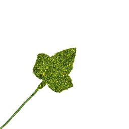 Bild von Efeulaub moosartig klein - grün
