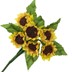 Bild von Sonnenblume groß mit Blatt - goldgelb
