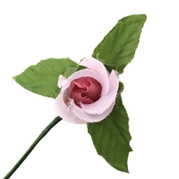 Bild von Kussröschen mit Blätter - rosa