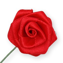 Bild von Dior-Rose groß - rot