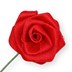 Bild von Dior-Rose groß - rot