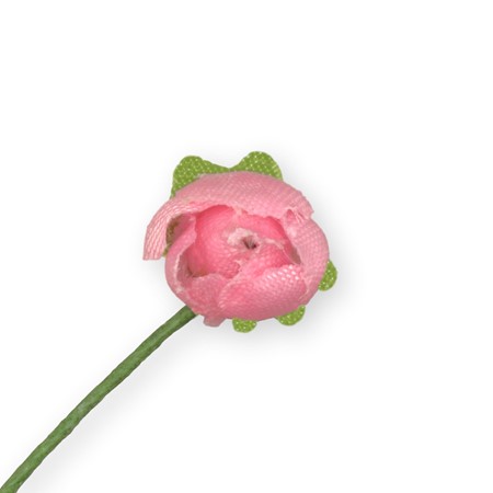 Bild von Miniröschen - rosa