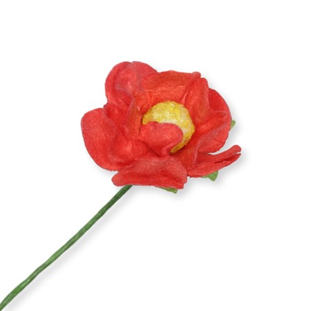 Bild von Miniblüte - rot