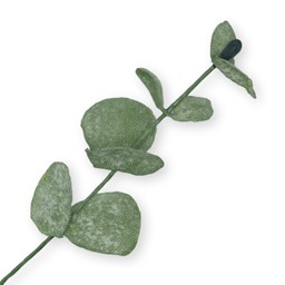 Bild von Seiden-Eucalyptus x8 - grün-weiß