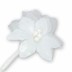Bild von Tüll-Blüte mit Bötzl - weiß